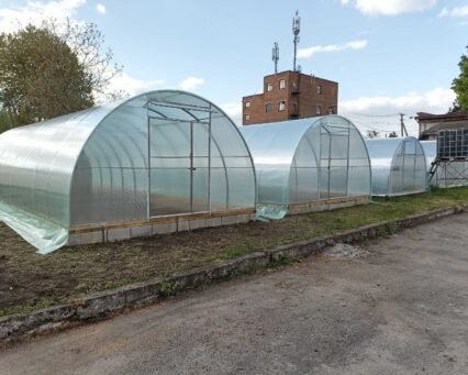 Теплиця Вінничанка 4х8 м (полікарбонат)